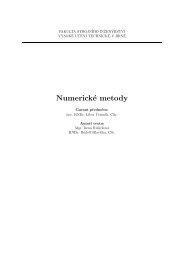 NumerickÃ© metody - UJEP