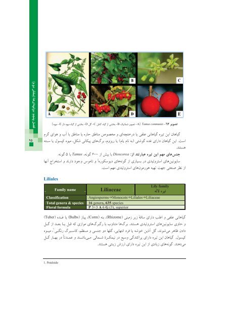 دریافت فایل PDF - انتشارات ارجمند