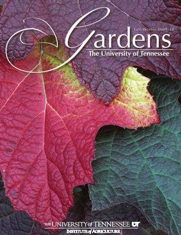 Fall/Winter 2009-10 - UT Gardens - The University of Tennessee