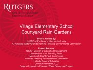 Village Elementary School Courtyard Rain Gardens - Rutgers ...