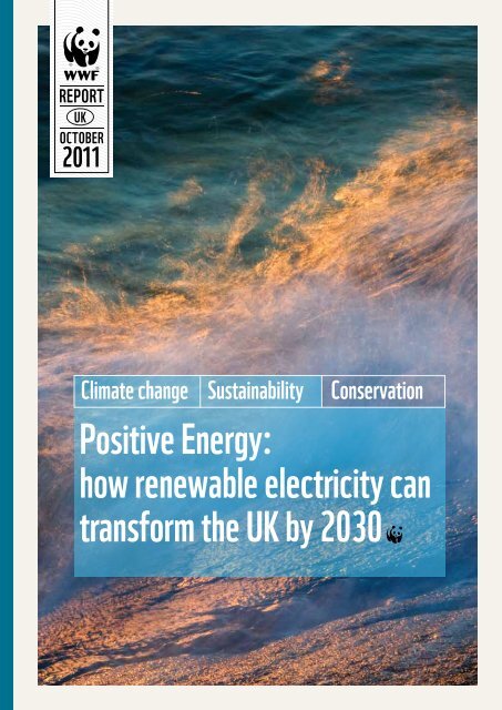 Positive Energy: how renewable electricity can transform ... - WWF UK