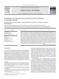 Identification of a permease gene involved in lactose utilisation in ...