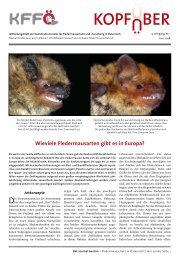 Download - pdf - Fledermaus-dietz.de