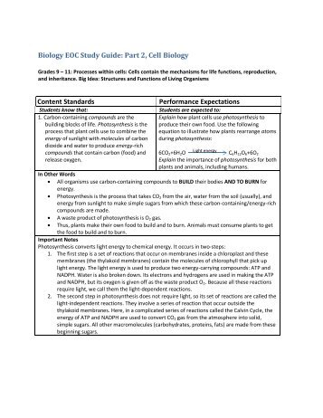 Biology EOC Study Guide: Part 2, Cell Biology Content Standards ...