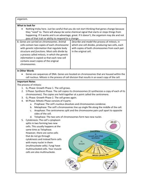 Biology EOC Study Guide: Part 2, Cell Biology Content Standards ...