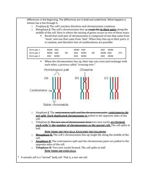 Biology EOC Study Guide: Part 2, Cell Biology Content Standards ...