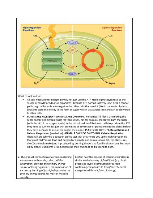 Biology EOC Study Guide: Part 2, Cell Biology Content Standards ...