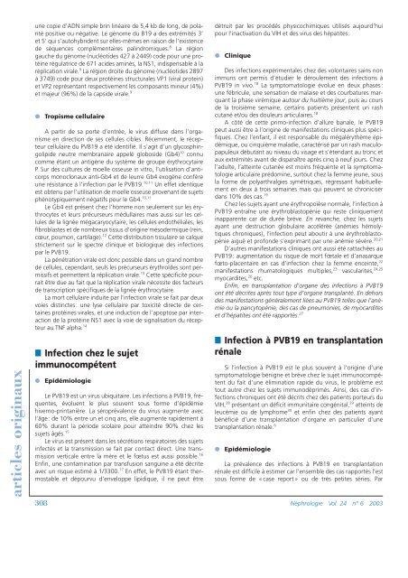 Infection à parvovirus B19 et transplantation rénale