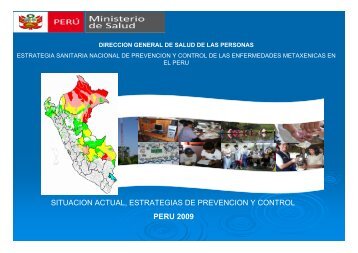 peru 2009 situacion actual, estrategias de prevencion y control