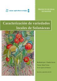 Caracterización de variedades locales de Solanáceas - Esporus