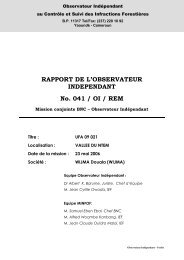 Rapport de mission REM 041 - Observateur IndÃ©pendant FLEG