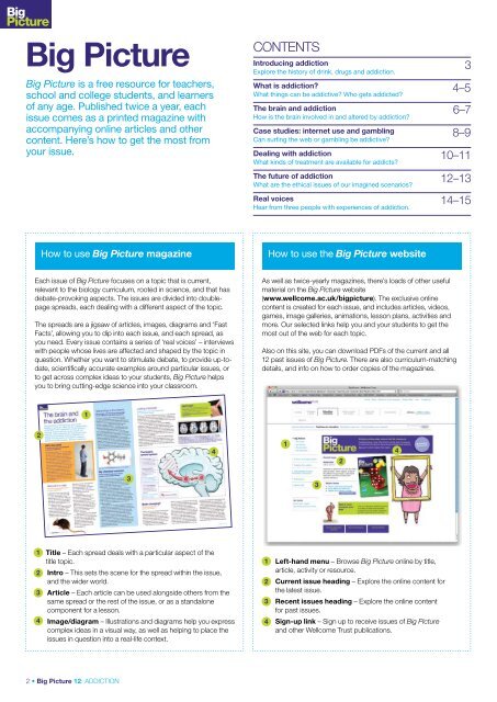 Big Picture: Addiction - Wellcome Trust