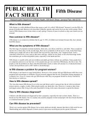 Fifth Disease Fact Sheet - Holliston Public Schools