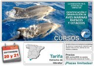Curso-cetaceos-marinas-y-rapaces-Tarifa