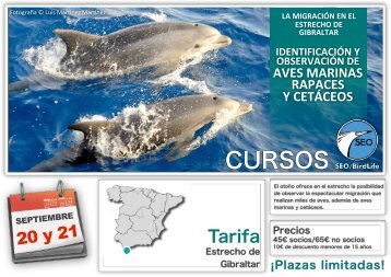 Curso-cetaceos-marinas-y-rapaces-Tarifa