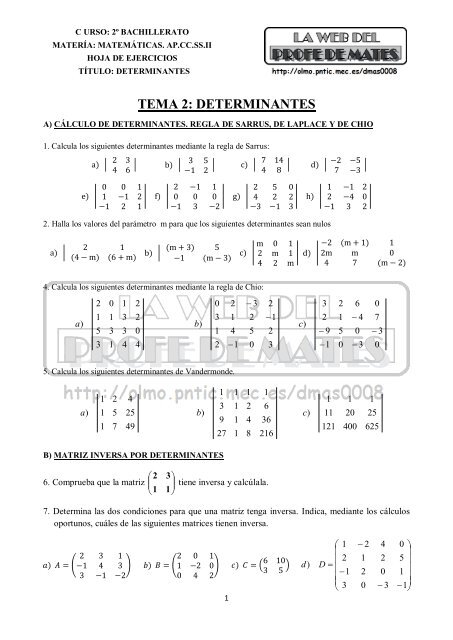 TEMA 2: DETERMINANTES