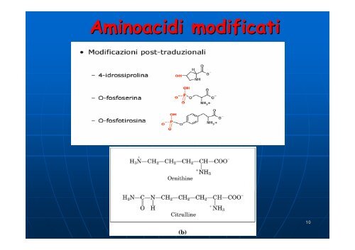 Aminoacidi e proteine - Omero