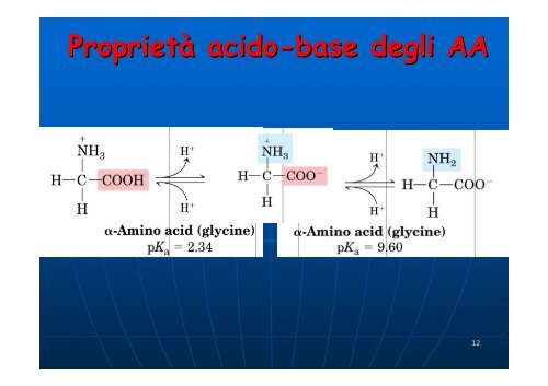 Aminoacidi e proteine - Omero