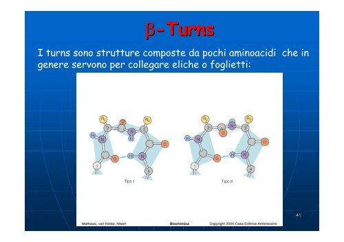 Aminoacidi e proteine - Omero