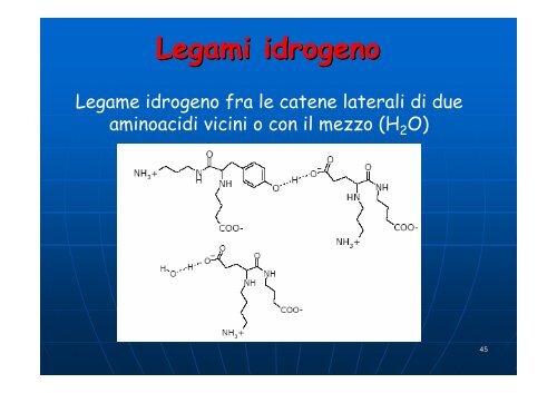 Aminoacidi e proteine - Omero