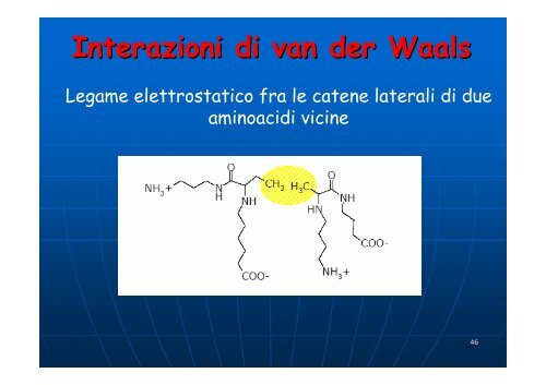 Aminoacidi e proteine - Omero