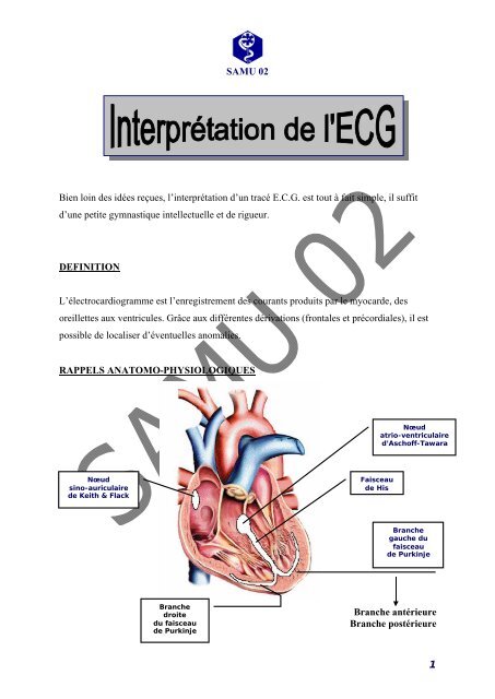 InterprÃ©tation de l'ECG SAMU 02