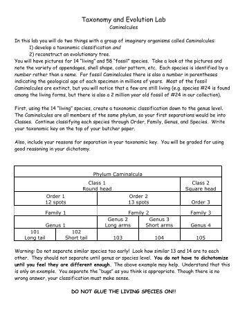 Taxonomy and Evolution Lab