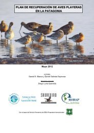 MANOMET, INC - Western Hemisphere Shorebird Reserve Network