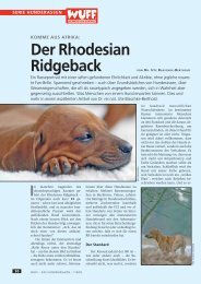 Der Rhodesian Ridgeback - WUFF - online