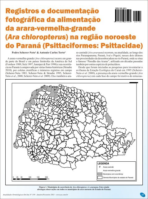 Ara chloropterus - Atualidades Ornitológicas