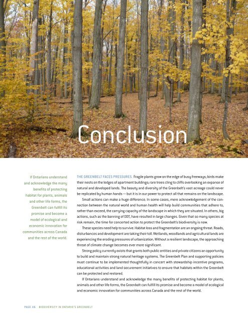 Biodiversity in Ontario's Greenbelt (PDF) - David Suzuki Foundation