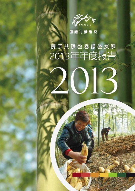 2013-Annual-Report-Chinese