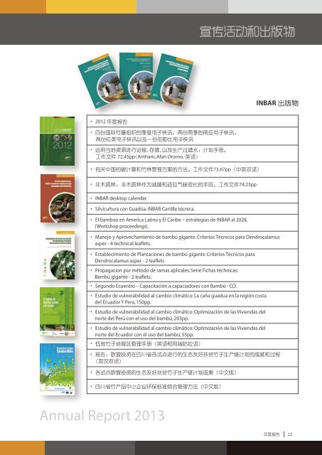 2013-Annual-Report-Chinese