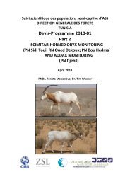 Tunisia Addax & Oryx Monitoring 2011 - Sahara Conservation Fund