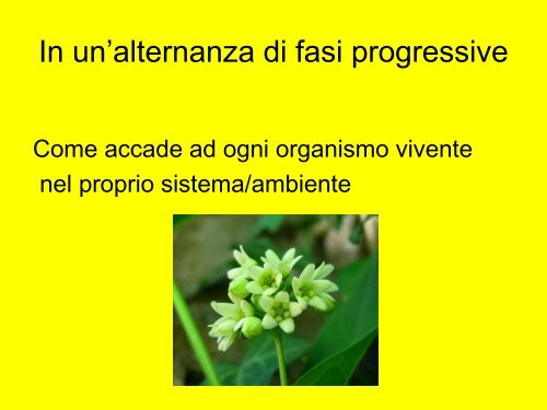 L'insegnante curricolare di fronte alla disabilitÃ 