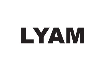 Lyam catalog pdf - Gandy gallery