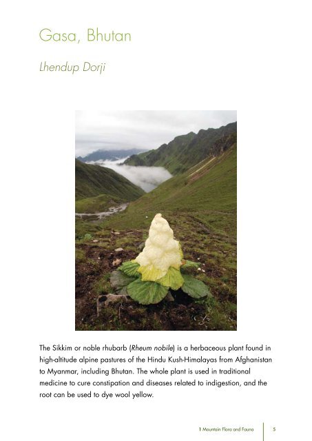 Mountain Biodiversity of the Hindu Kush-Himalayas - Himalayan ...