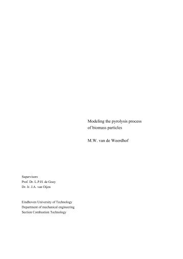 Modeling the pyrolysis process of biomass particles - Mechanical ...