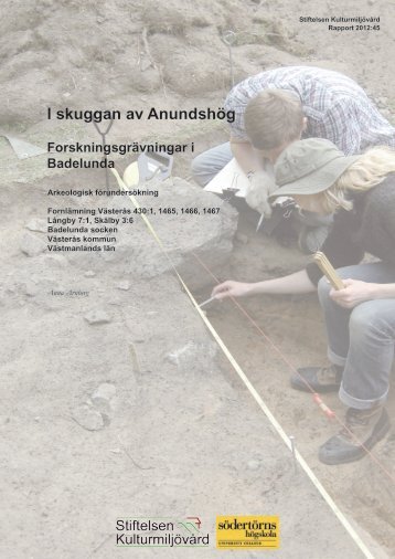 Stiftelsen KulturmiljÃ¶vÃ¥rd Rapport 2012:45. - KMMD