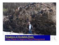 Using Plants to Improve Flood Management - Floodplain Management