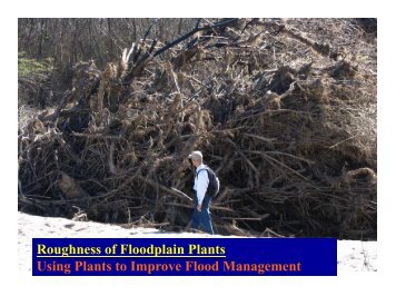 Using Plants to Improve Flood Management - Floodplain Management
