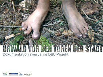 Dokumentation zwei Jahre DBU-Projekt - Urwald vor den Toren der ...