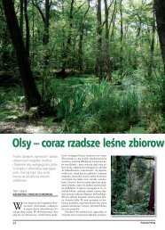 Olsy - coraz rzadsze leśne zbiorowiska