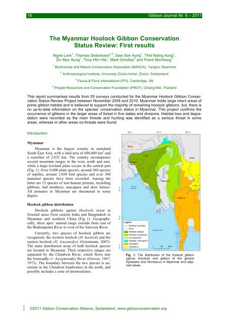 The Myanmar Hoolock Gibbon Conservation Status Review: First ...