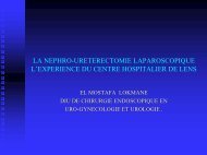 Nephroureterectomie.p+ - Service d'Urologie CHU Henri Mondor