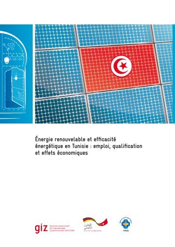 ÃƒÂ‰nergie renouvelable et efficacitÃƒÂ© ÃƒÂ©nergÃƒÂ©tique en Tunisie : emploi ...