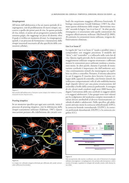 Neuroscienze e dipendenze - Dipartimento per le politiche antidroga