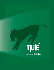 Mule Lighting Catalog