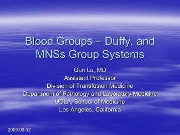 Duffy, MNS and Gerbich Blood Group Antigens. By Q Lu - the UCLA ...