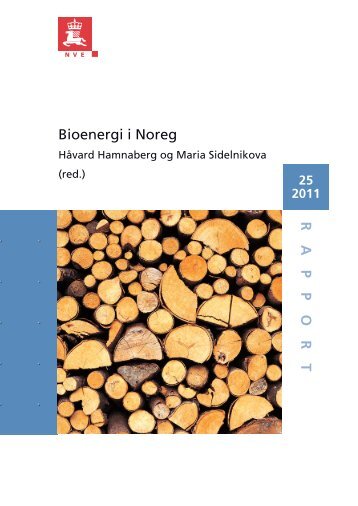 RAPPOR T Bioenergi i Noreg